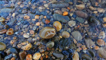 Dreamstime Xxl 27475454